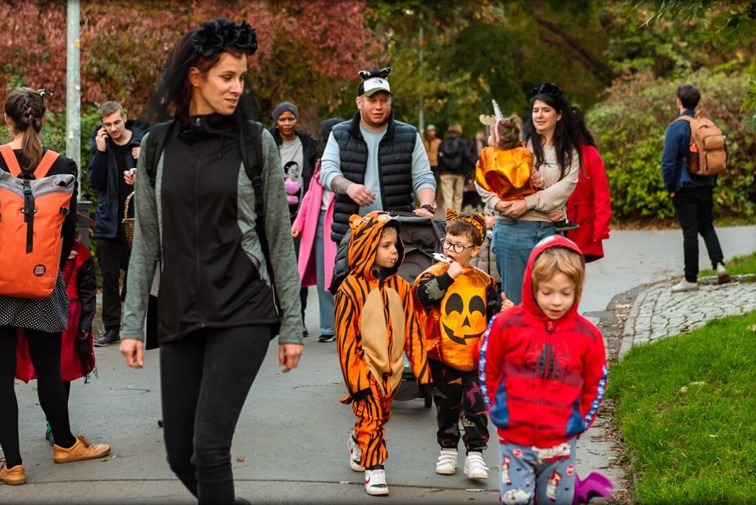 Families in costumes walking through a park – a tiger, a pumpkin and Spider-Man