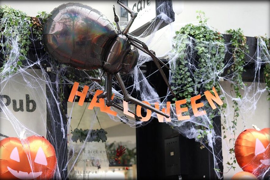 A pub entrance decorated with a giant spider and cobwebs